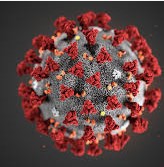 coronavirus.jpg